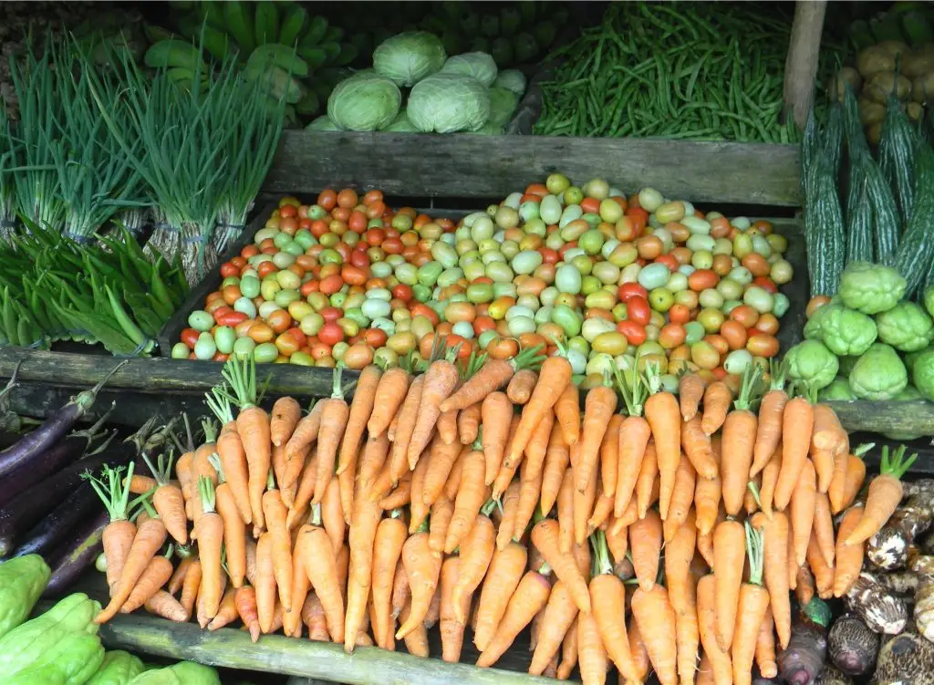 Freshly harvested vegetables including carrots, tomatoes, and leafy greens from local food production