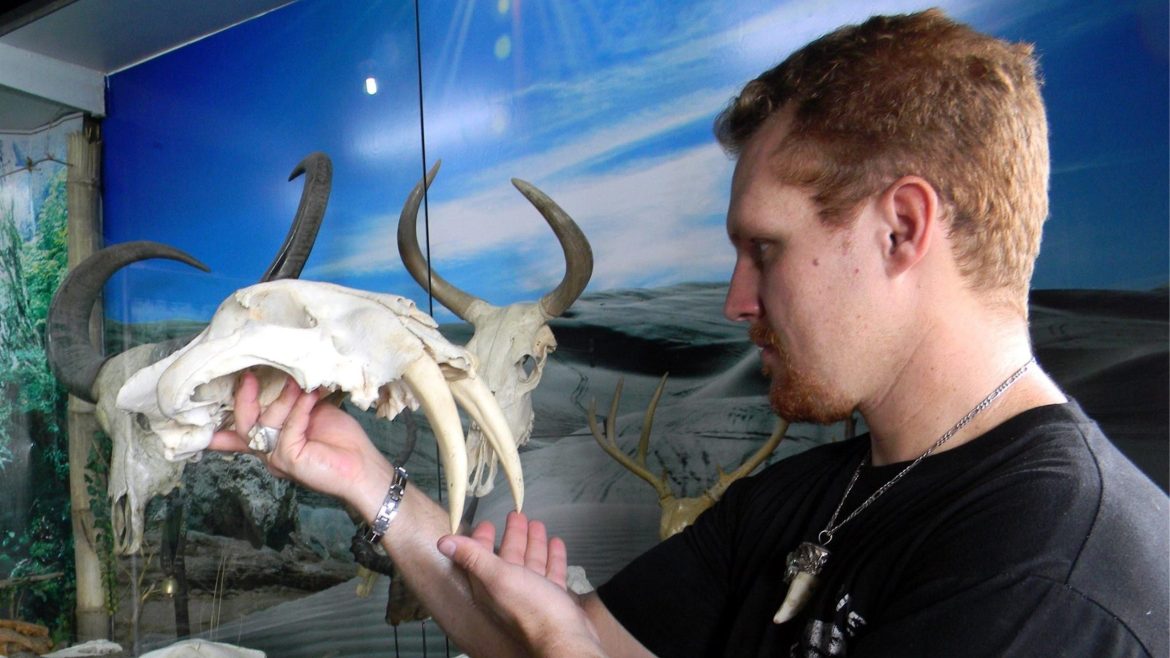 Darrell Dean Blatchley, founder of the D’Bone Collector Museum, prepares skeletal exhibits for display