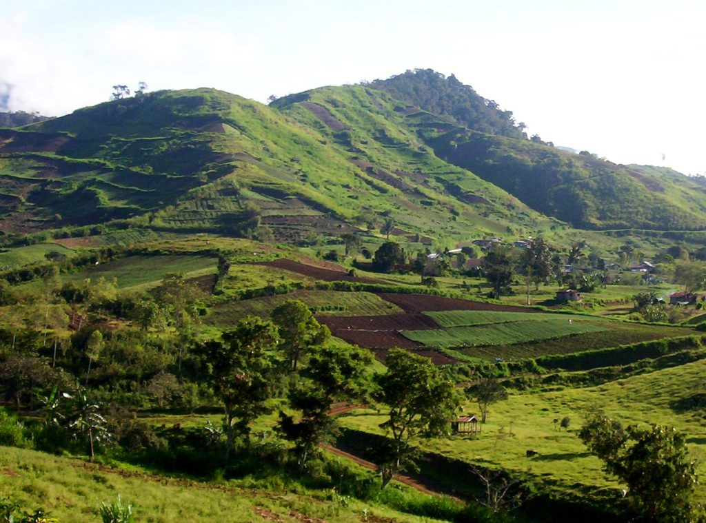 Farming uplands vulnerable to soil erosion as the food crisis threatens agricultural productivity