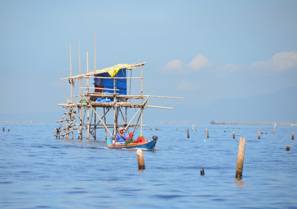 Mussel farming structures used in coastal areas as part of efforts to support mussel patis production in the Philippines