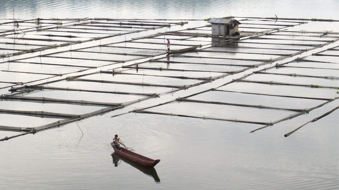 Aquaculture fish pens in coastal waters as an alternative to declining wild fish catch in the Philippines