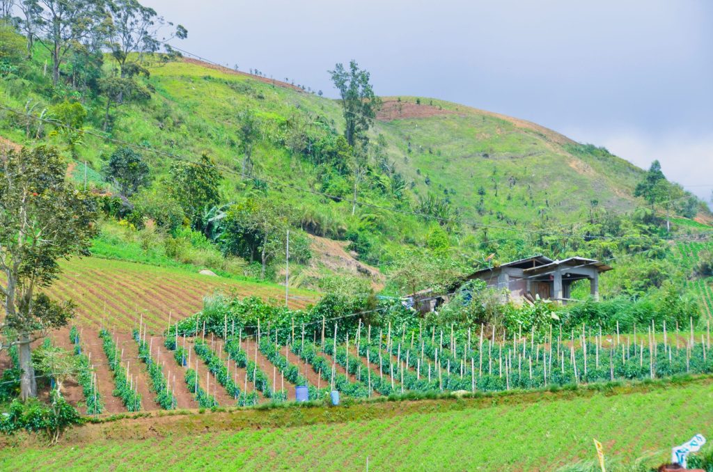 Upland farms in the Philippines show agricultural areas increasingly vulnerable to climate change and extreme weather.