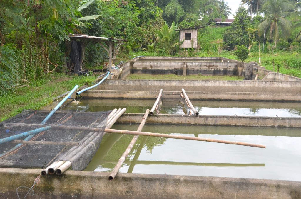 Small-scale fish farming ponds supporting turning barren lands into productive farms through integrated agriculture