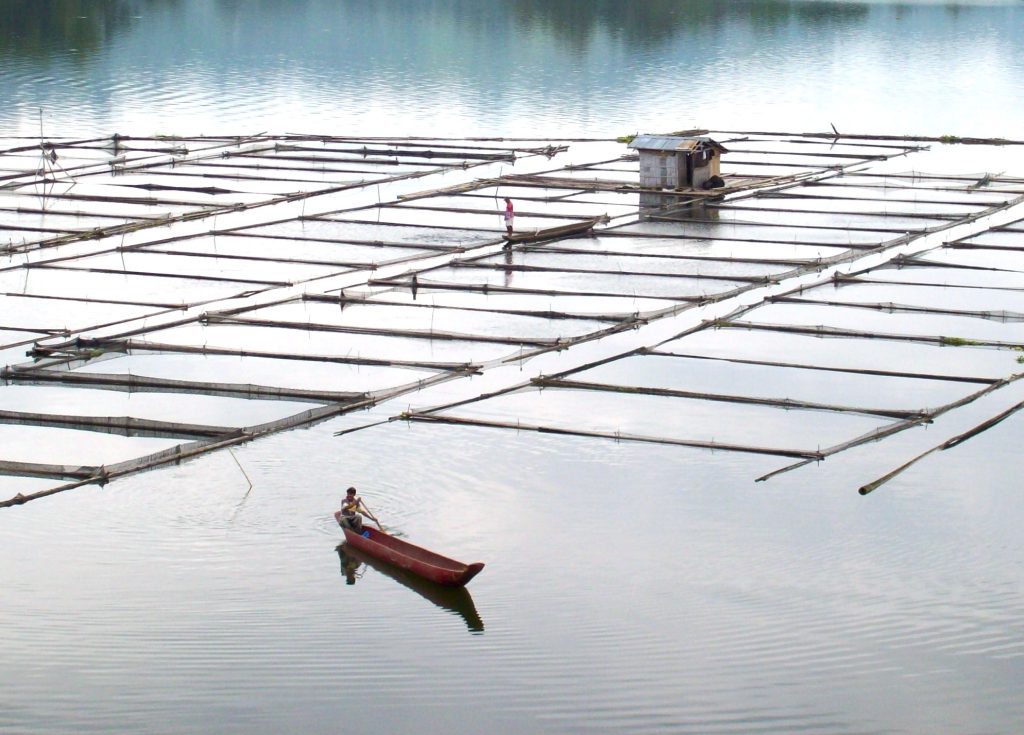 Fish cages and fishing boats affected by climate change crisis and shifting marine conditions