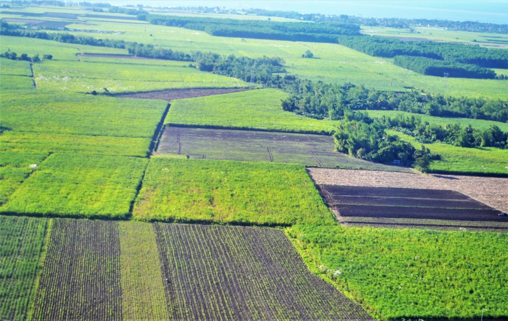 Expansive crop farms dependent on irrigation as water scarcity threatens agricultural productivity