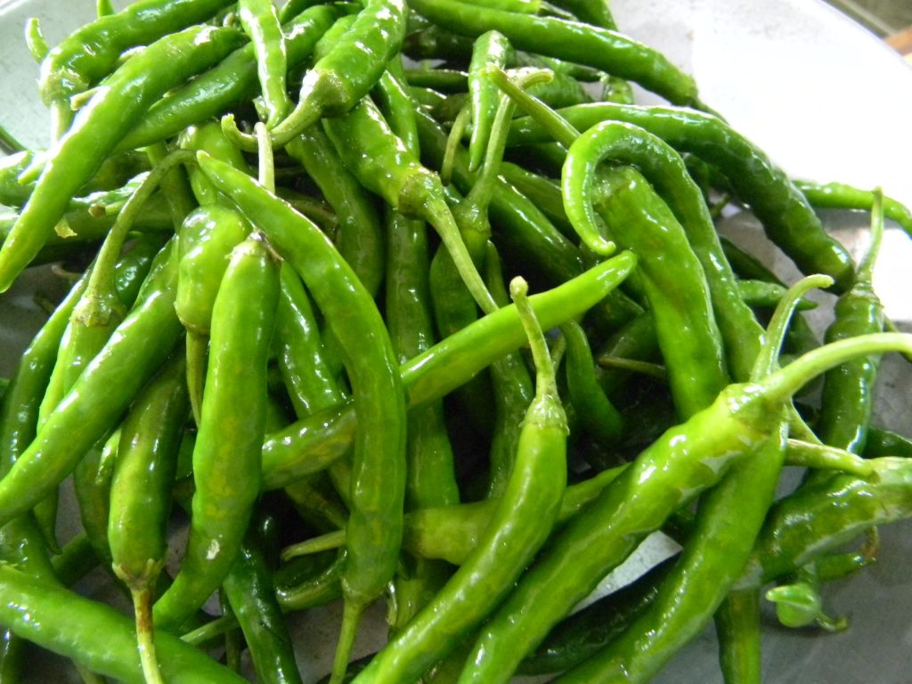 Green hot peppers rich in capsaicin that give chili peppers their heat