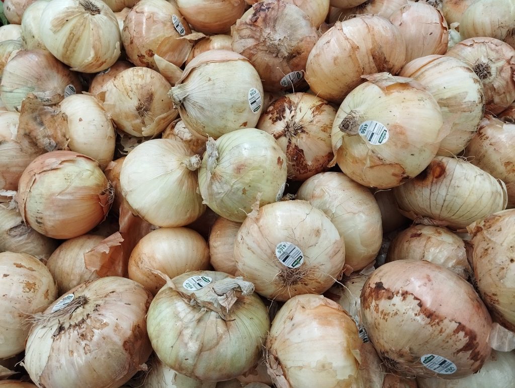 White onions harvested following successful nanobiopesticide armyworm larvae control