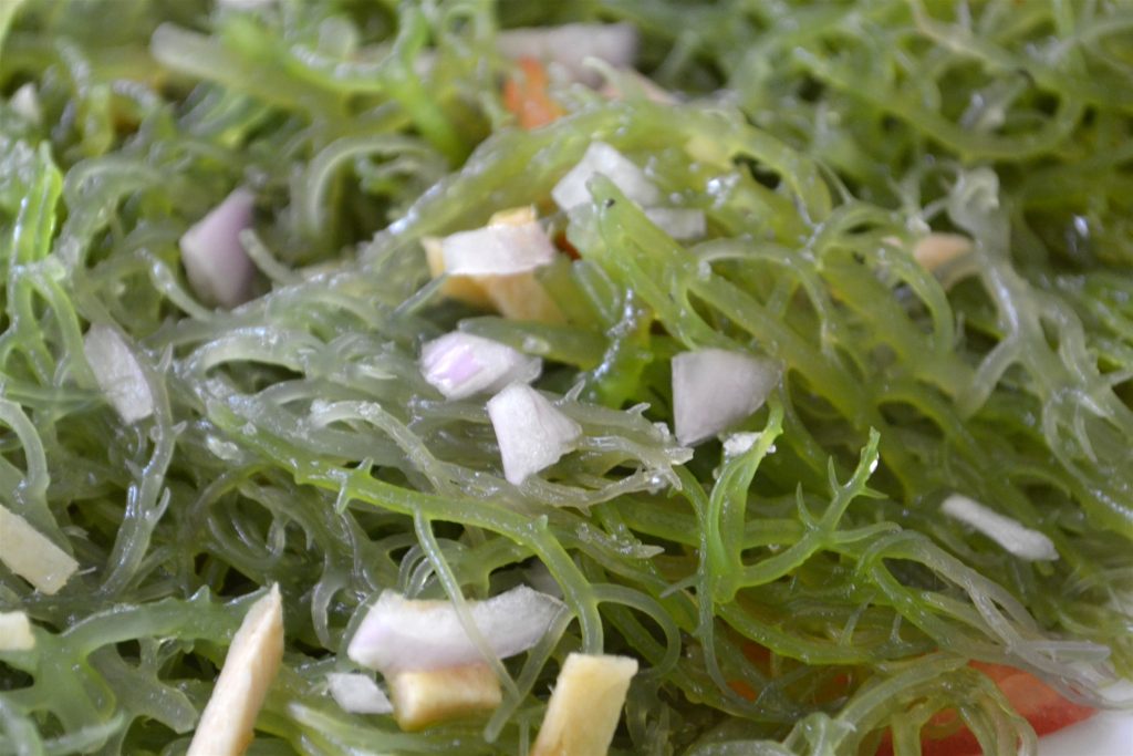 Edible seaweeds commonly used in Filipino cuisine and coastal diets
