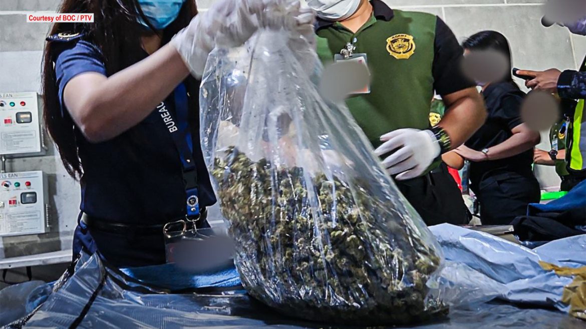 Bureau of Customs Clark Port officers inspect seized marijuana during cargo examination at the Port of Clark