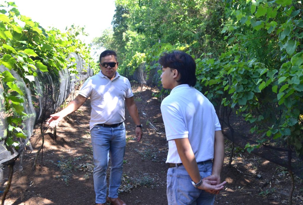 Two men discussing grape farming techniques inside a vineyard in Davao
