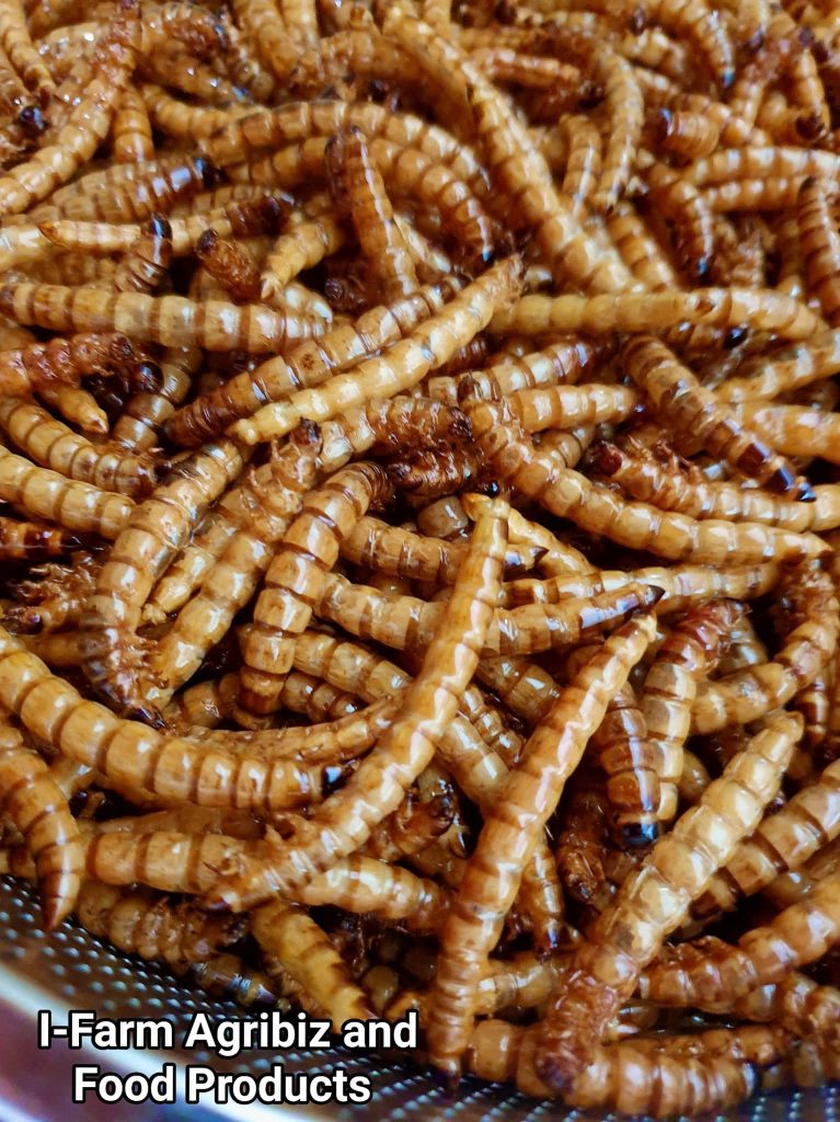 Processing superworms into a nutritious superworm snack for sustainable food production