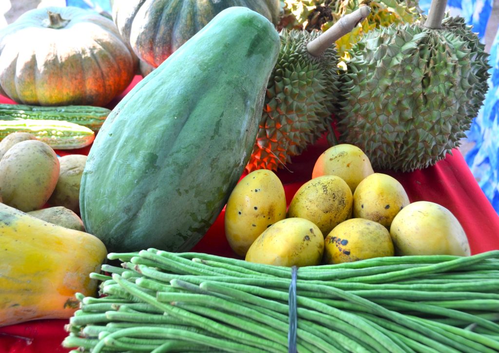 Diversified crops grown together to promote sustainable agriculture and food security in the Philippines