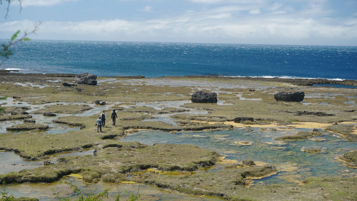 Drone shot of rocky coastline with scattered boulders used in coastal hazards prediction studies