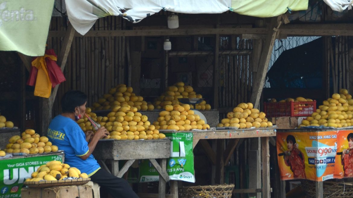 Vendor selling ripe Philippine mangoes at a local public market