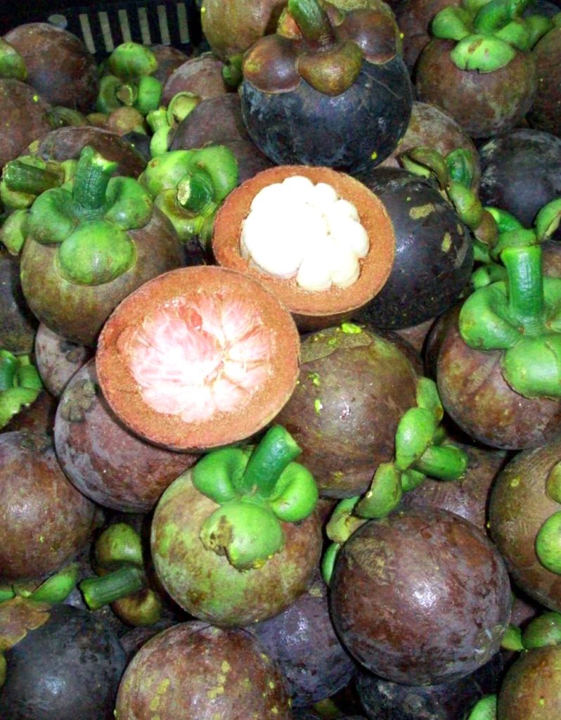 Close-up of fresh mangosteen fruit with one opened showing its white segmented flesh
