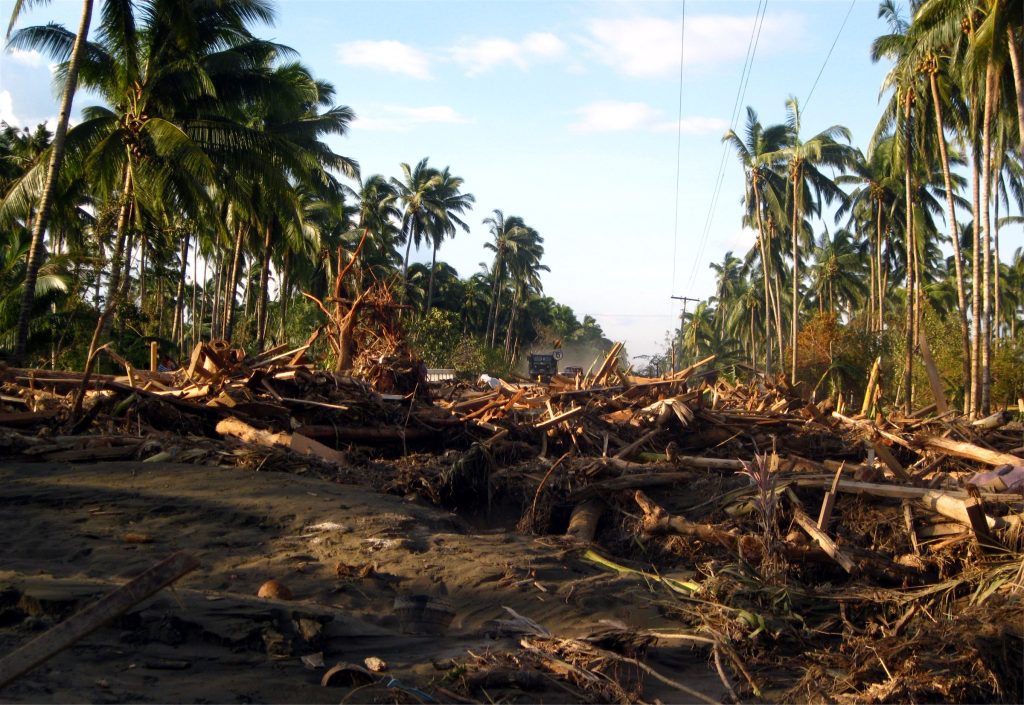 Widespread destruction and fallen coconut trees after Typhoon Pablo hit parts of the Philippines.