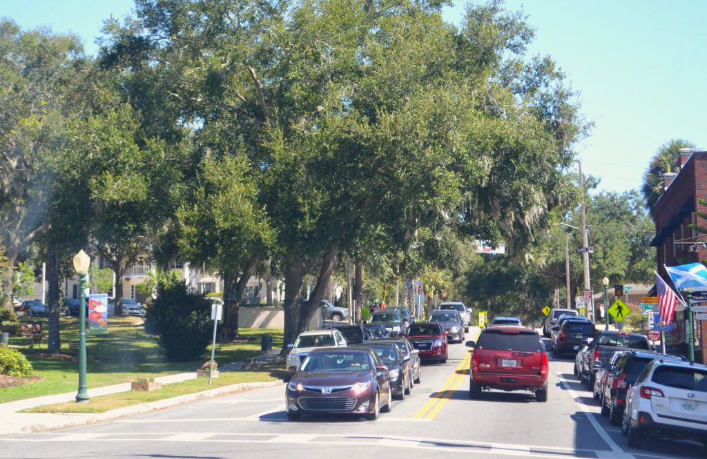 Trees growing around a natural spring supporting water and ecosystem health
