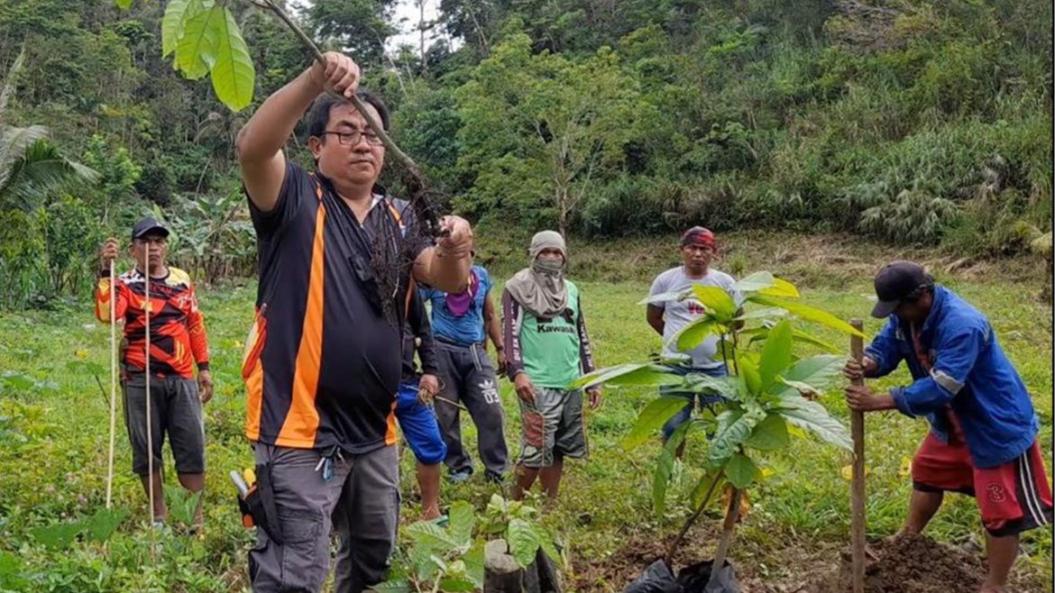 Farmers demonstrating a new cacao farming technique to support year-round cacao harvest production