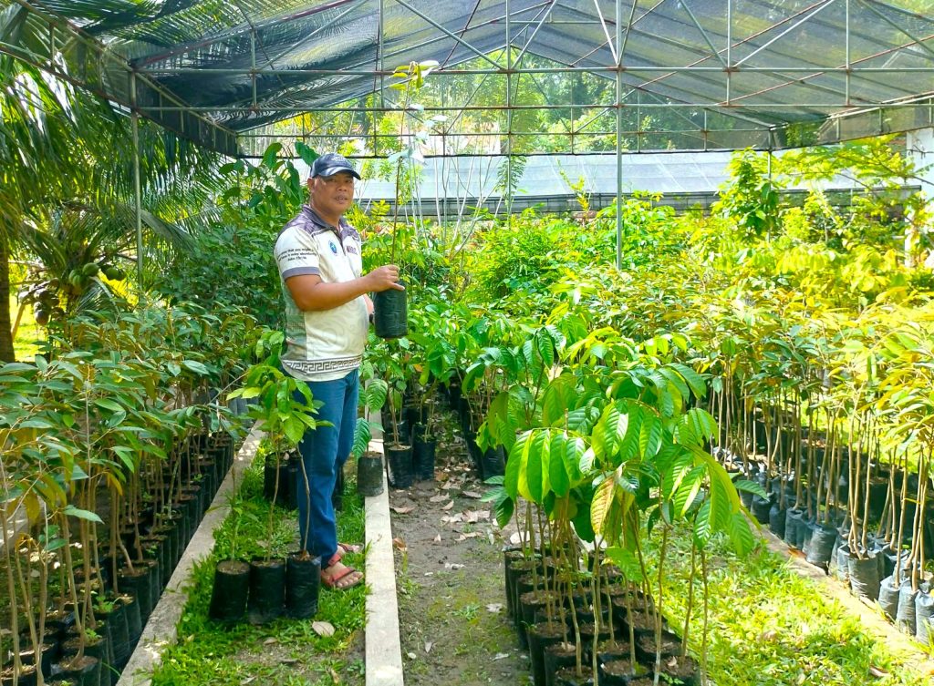 planting materials for sale at Mindanao Baptist Rural Life Center nursery