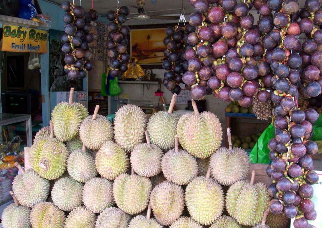 fresh davao durian fruit with green spiky outer shell