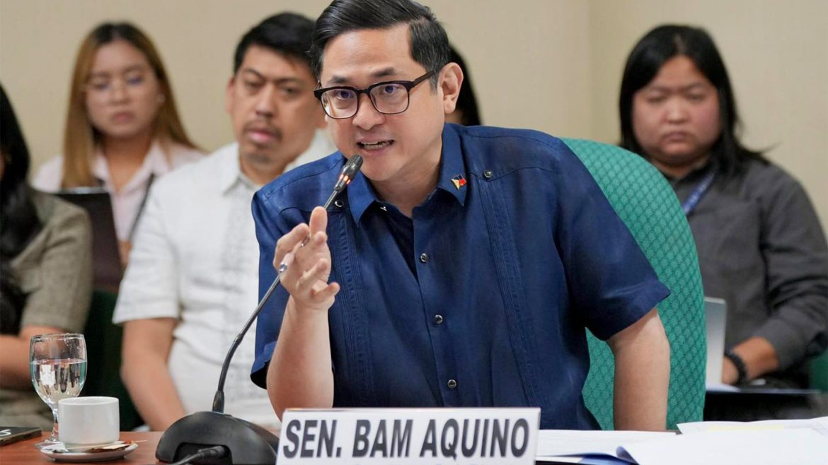 Bam Aquino speaks on national emergency fuel prices Philippines proposal during a public hearing