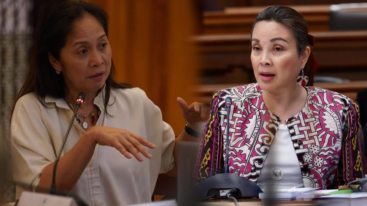 Senator Loren Legarda questions DOE officials during hearing on PNOC funds delay Philippines issue