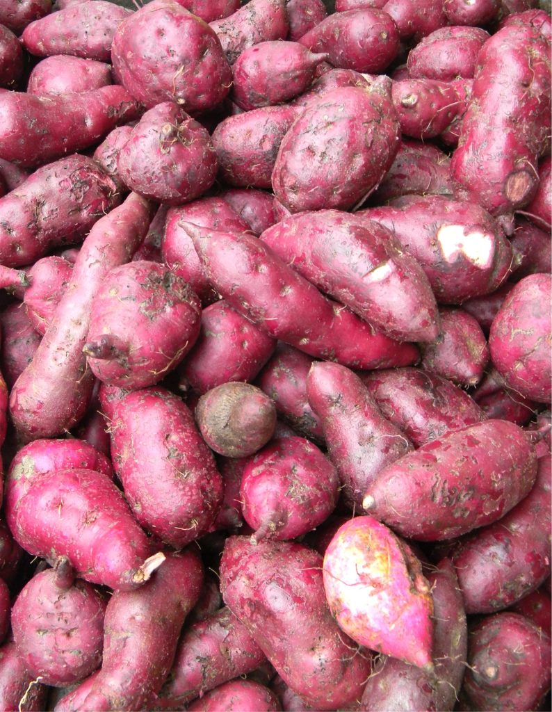 Sweet potato nutrition showing fresh sweet potatoes rich in vitamins and minerals