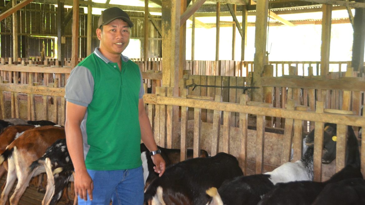 Filipino farmer with goats in goat farming Philippines livestock operation