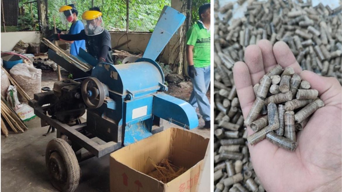 Bamboo pellets produced for biomass fuel Philippines as alternative energy source