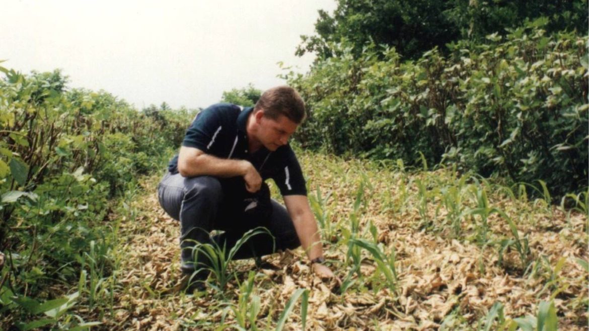 Vetiver grass planted as a sustainable farming technology to control soil erosion