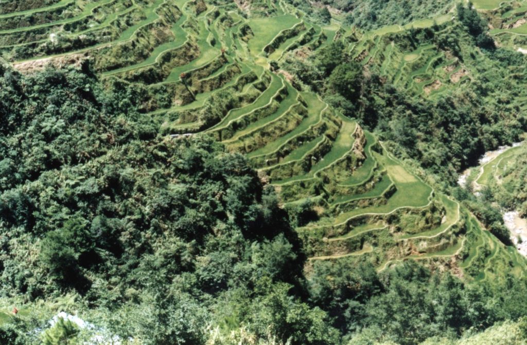Terracing method as a sustainable farming technology to reduce soil erosion on hillside farms