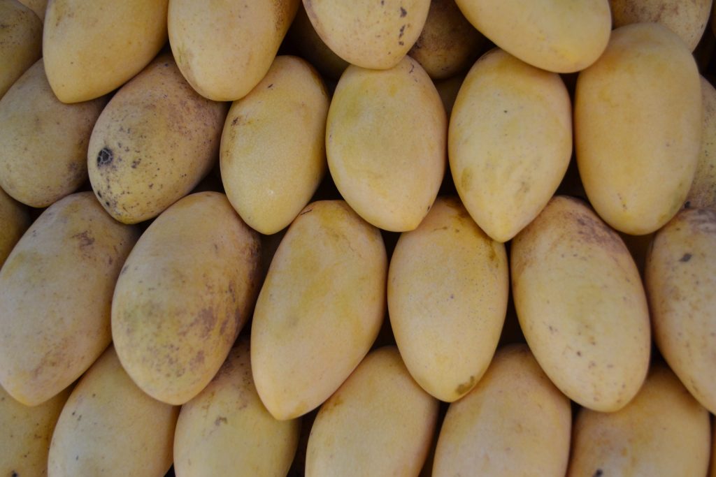 Mangoes displayed for sale showing methods to extend shelf life of mango