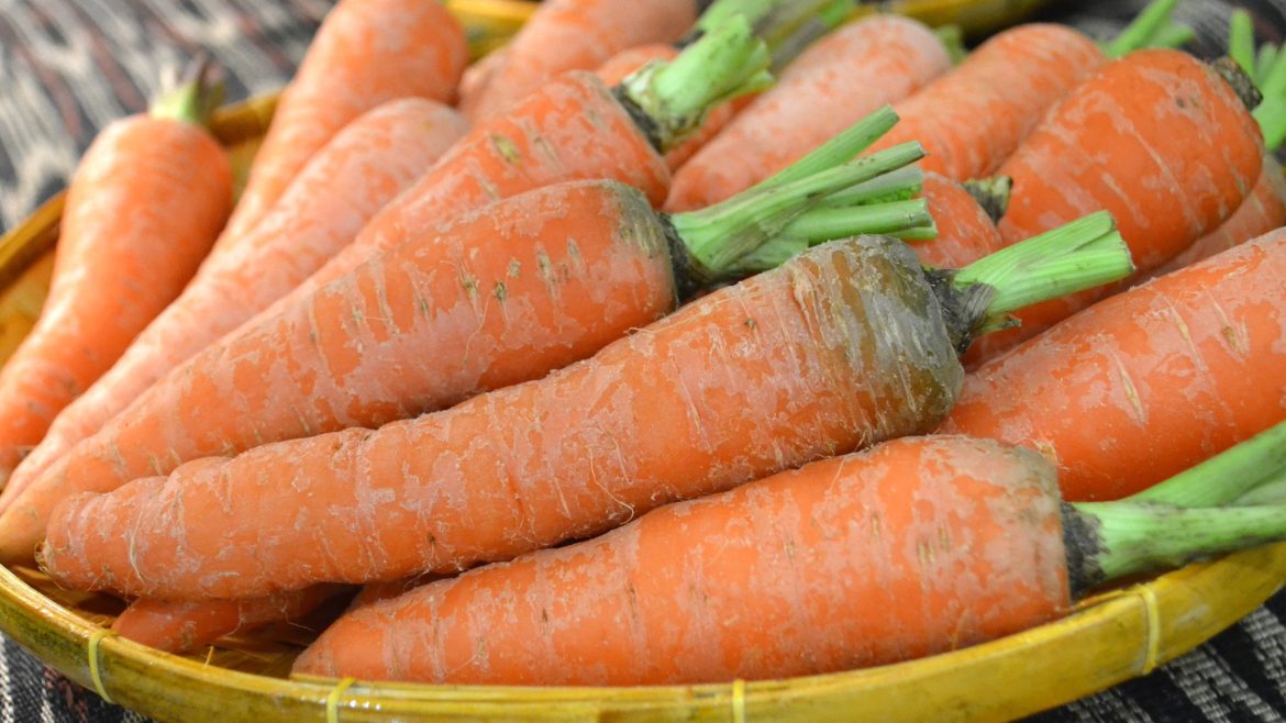 Close-up of fresh organic carrots rich in vitamin A nutrients