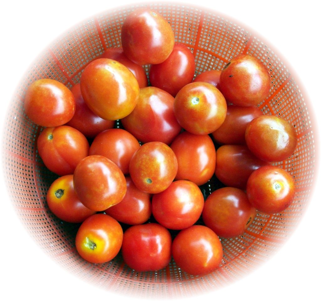 basket of fresh tomatoes high in lycopene supporting stroke risk reduction