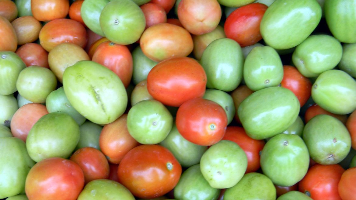 mixed red and green tomatoes showing varying lycopene levels and stroke risk benefits