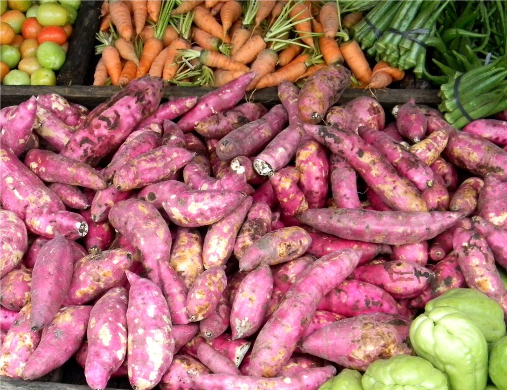 Fresh sweet potatoes displayed as healthy healing foods
